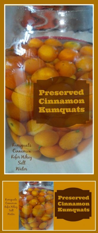 Preserved Cinnamon Kumquats