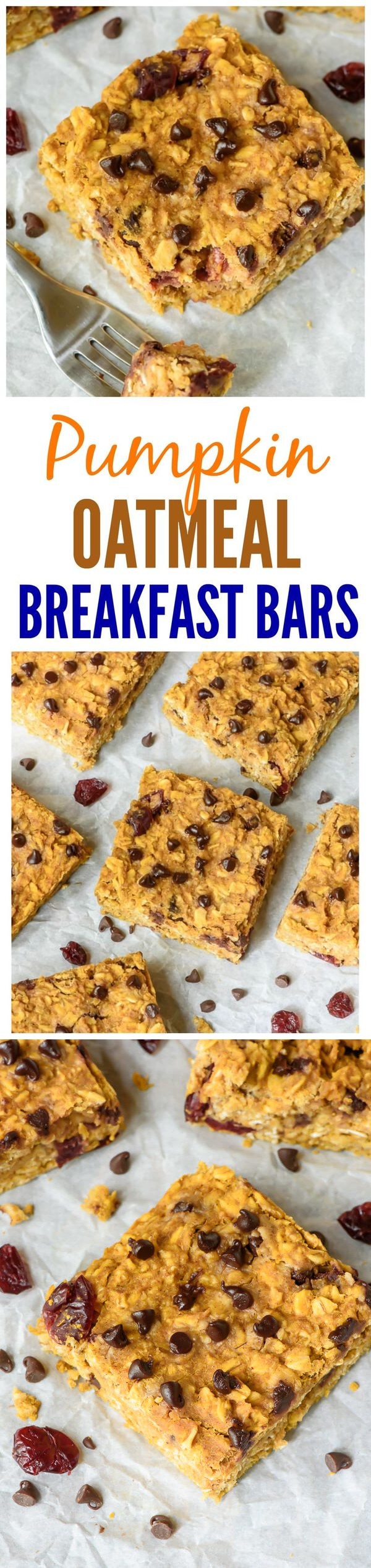 Pumpkin Peanut Butter Oatmeal Bars with Chocolate Chips and Cranberries