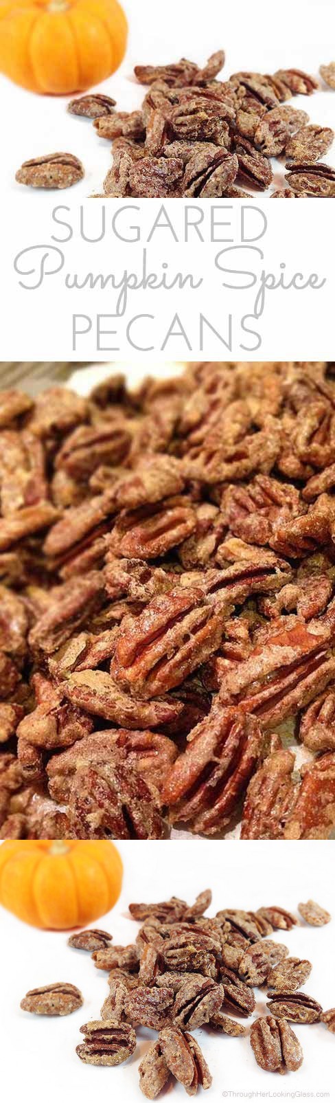 Pumpkin Spice Sugared Pecans