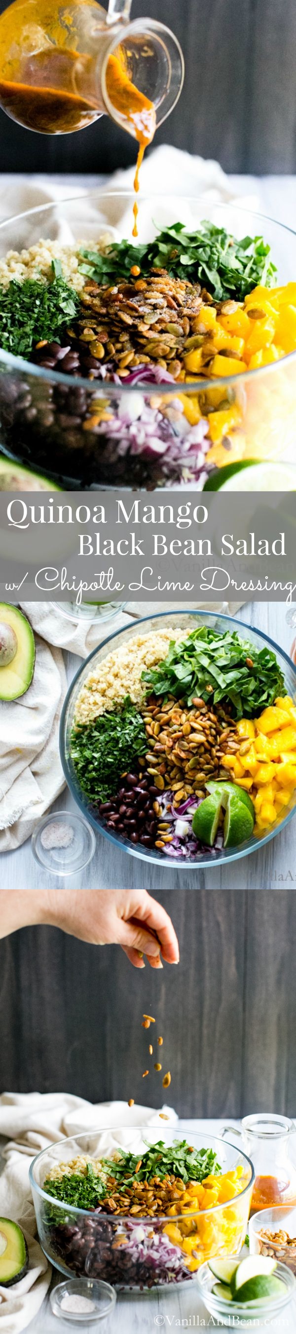 Quinoa Mango Black Bean Salad with Spiced Pepitas and Chipotle Lime Dressing