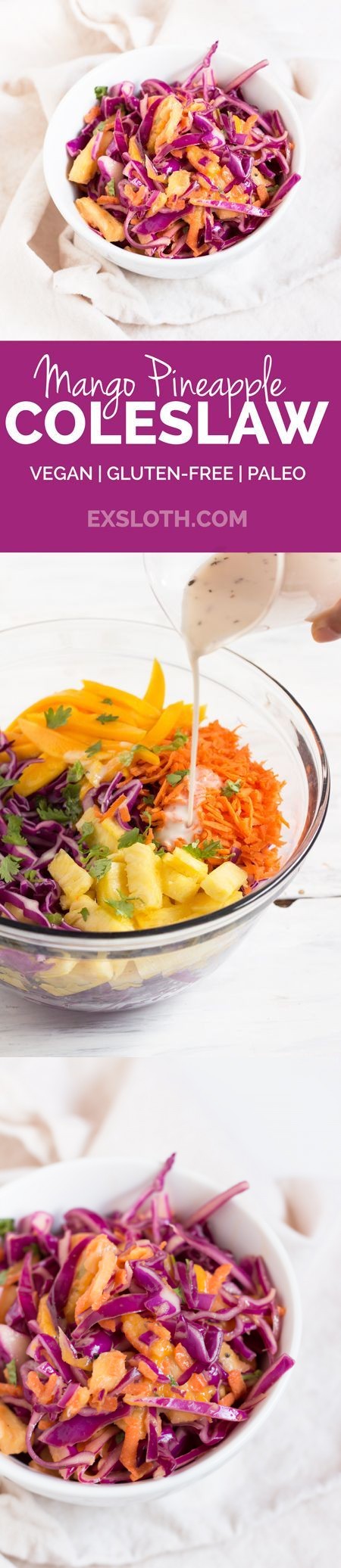 Red Cabbage Mango Pineapple Slaw