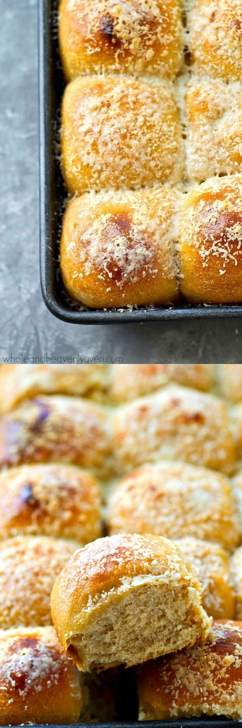 Roasted Garlic Parmesan Potato Dinner Rolls