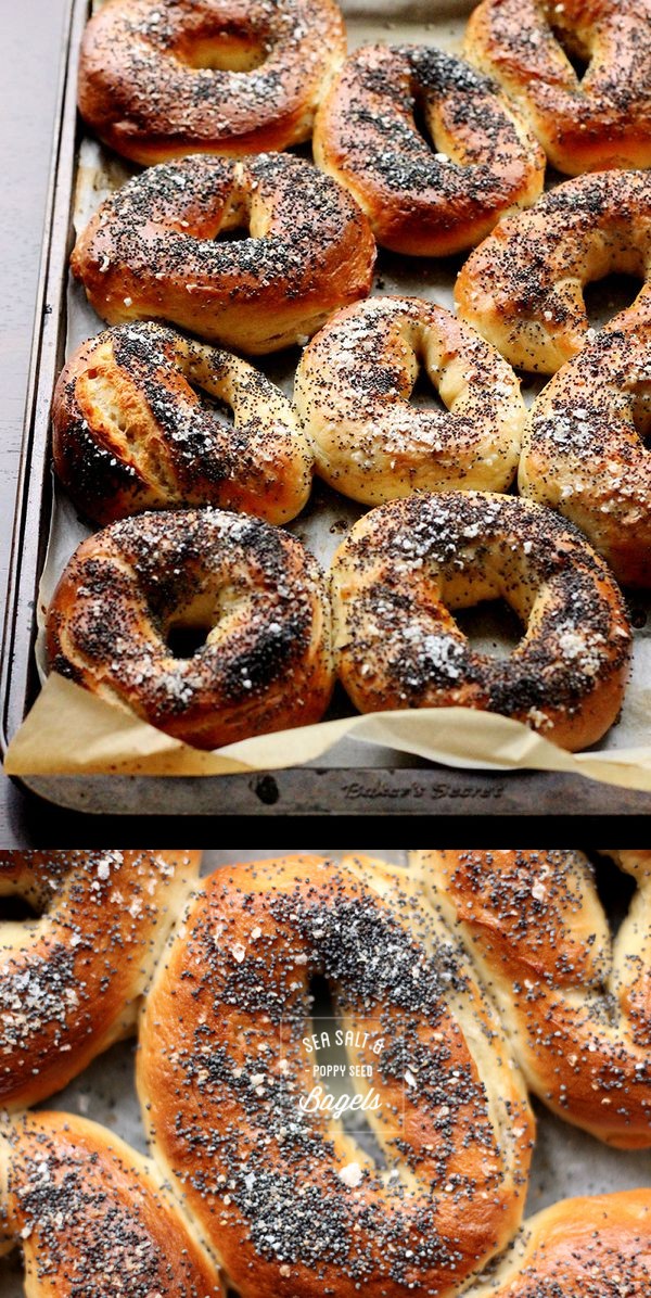 Sea Salt & Poppy Seed Bagels