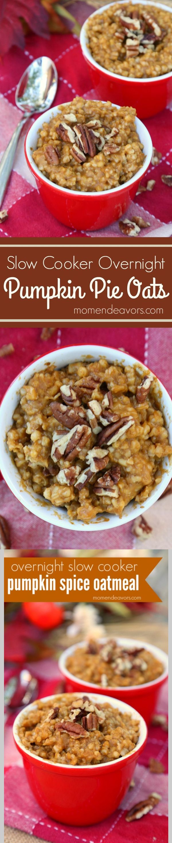 Slow Cooker Pumpkin Spice Overnight Oatmeal