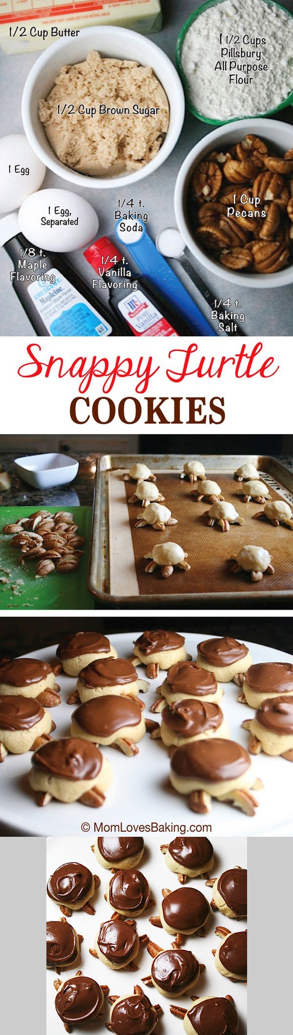 Snappy Turtle Cookies