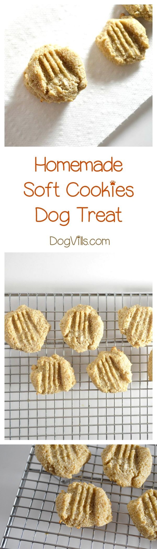 Soft Doggie Cookies for Older Dogs with Allergies