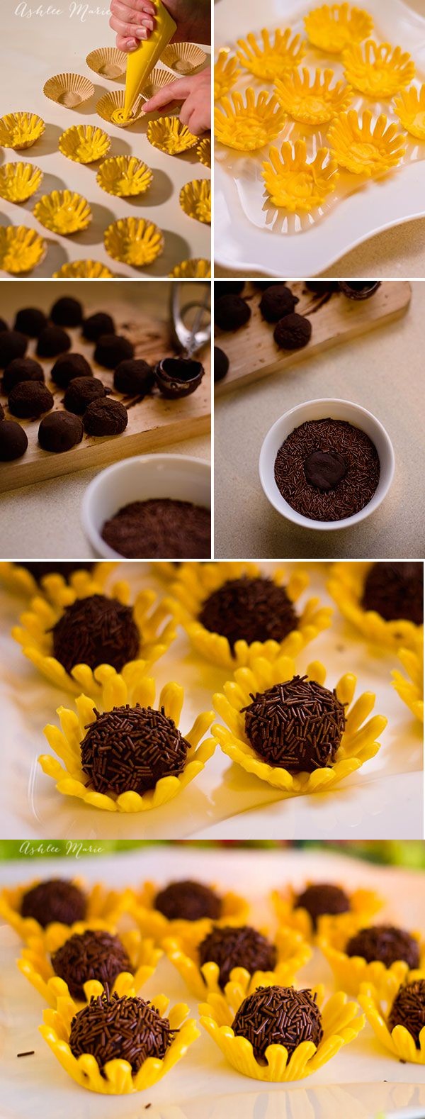 Sunflower Truffles