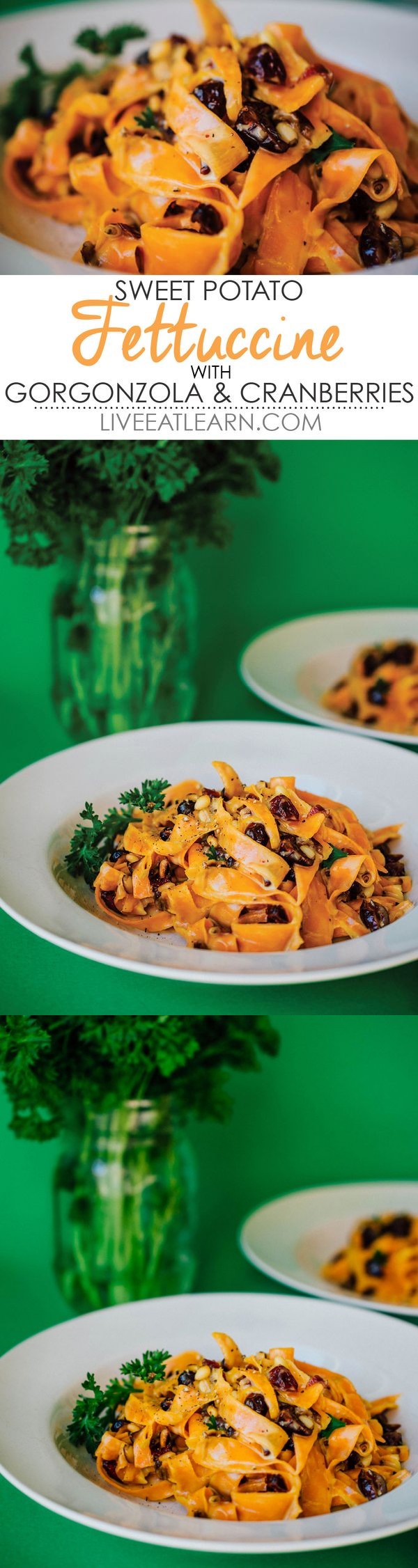 Sweet Potato Fettuccine in Gorgonzola Sauce