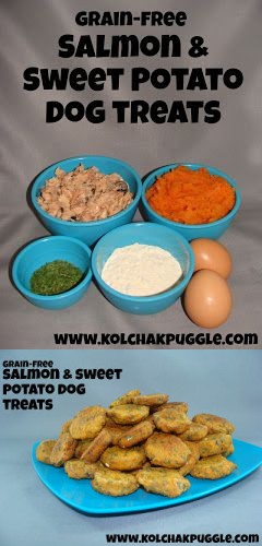 Tasty Tuesday: Sweet Potato & Salmon Bites Dog Treat