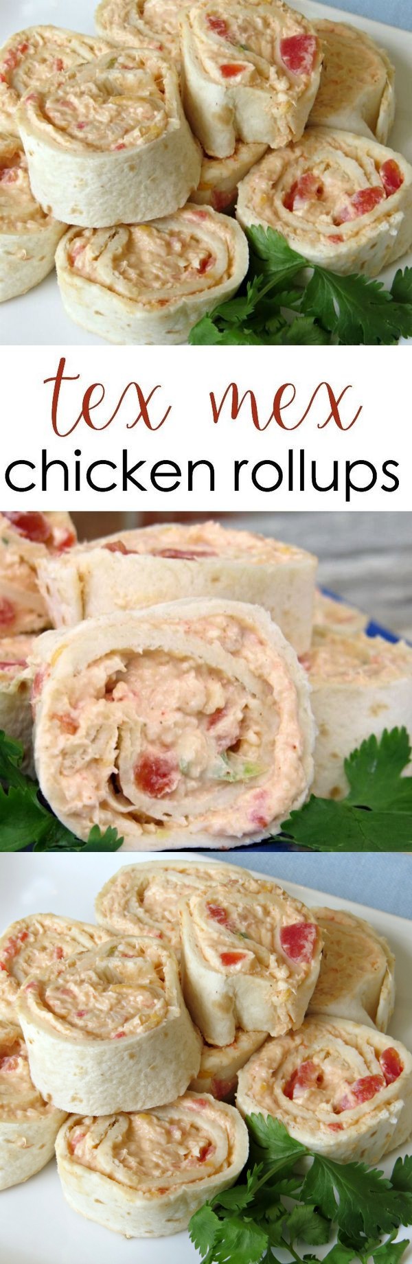 Tex Mex Chicken Rollups