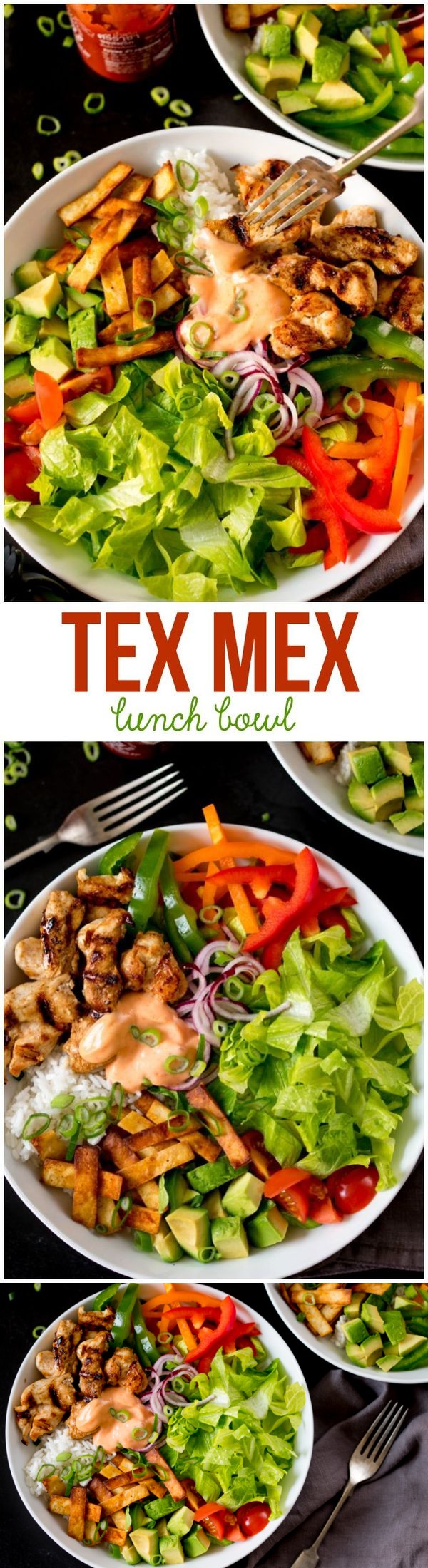 Tex Mex Lunch Bowl