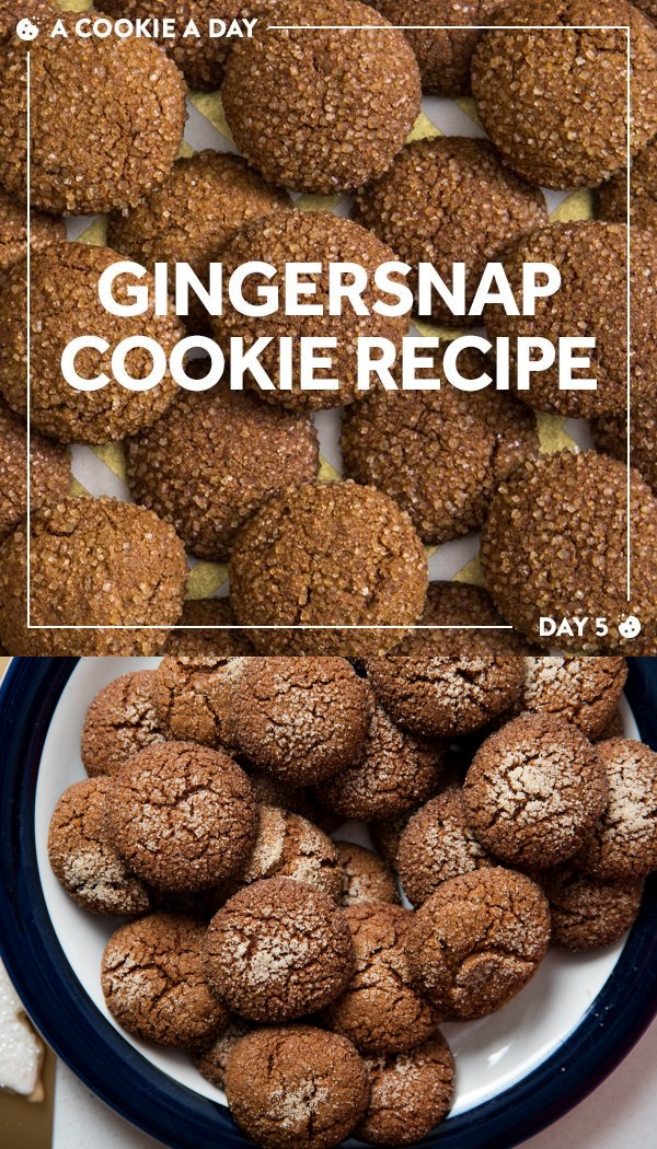 The Best Gingersnaps