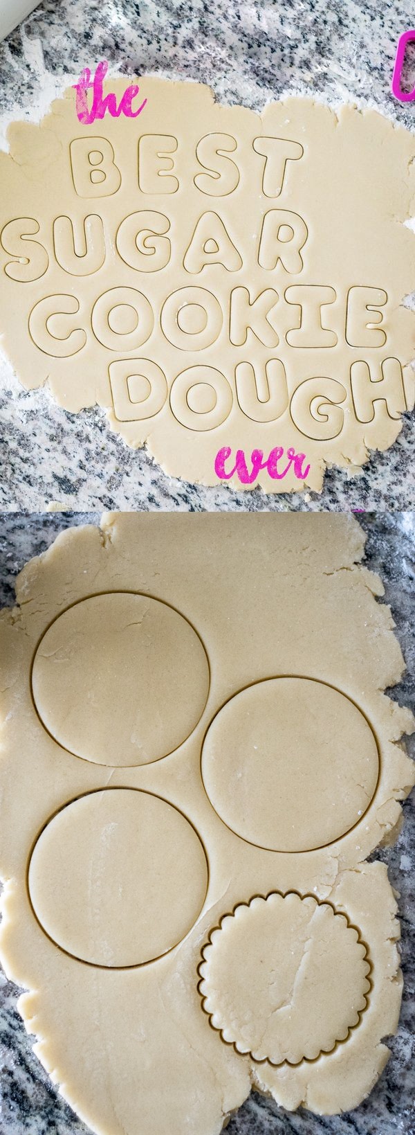 The Best Sugar Cookie Dough