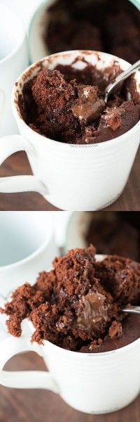 The Moistest Chocolate Mug Cake