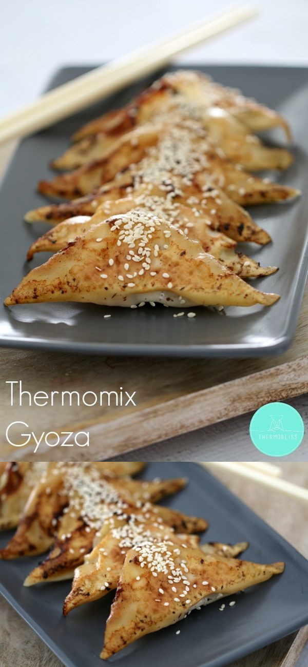 Thermomix Gyoza (Pan Fried