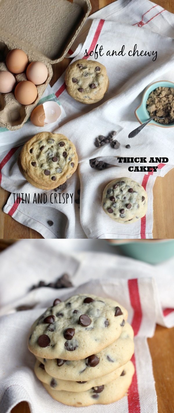 Thick and Cakey Chocolate Chip Cookies