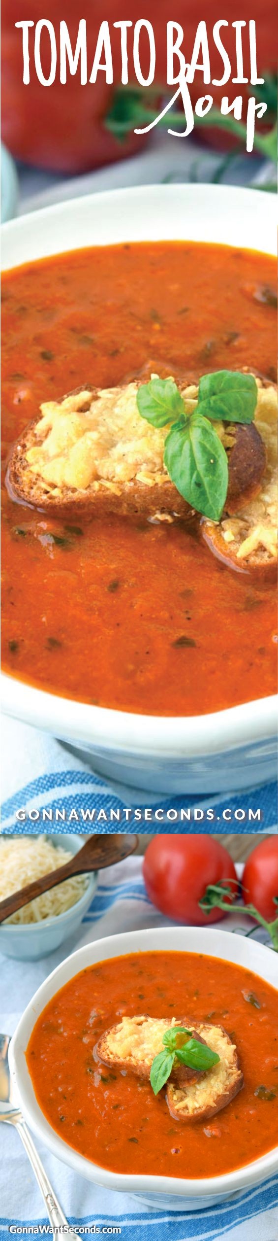 Tomato Basil Soup