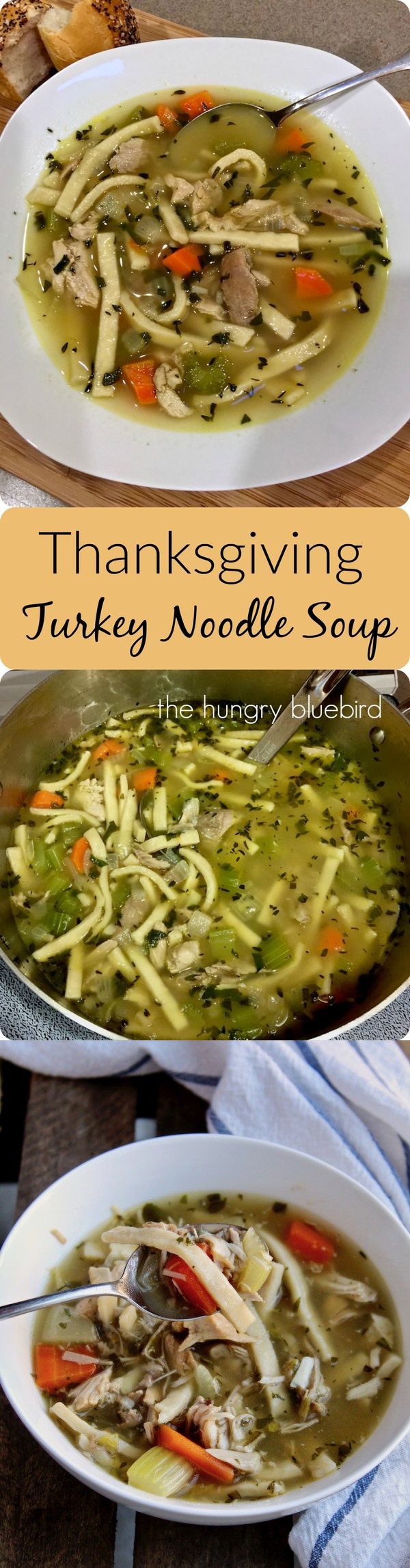 Turkey Noodle Soup