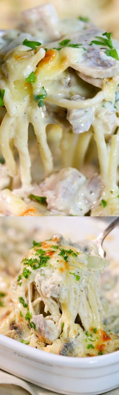 Turkey Tetrazzini