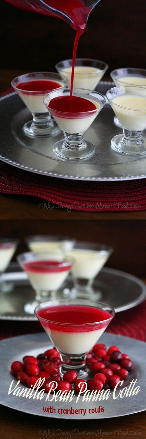 Vanilla Bean Panna Cotta with Cranberry Coulis – Low Carb and Gluten-Free