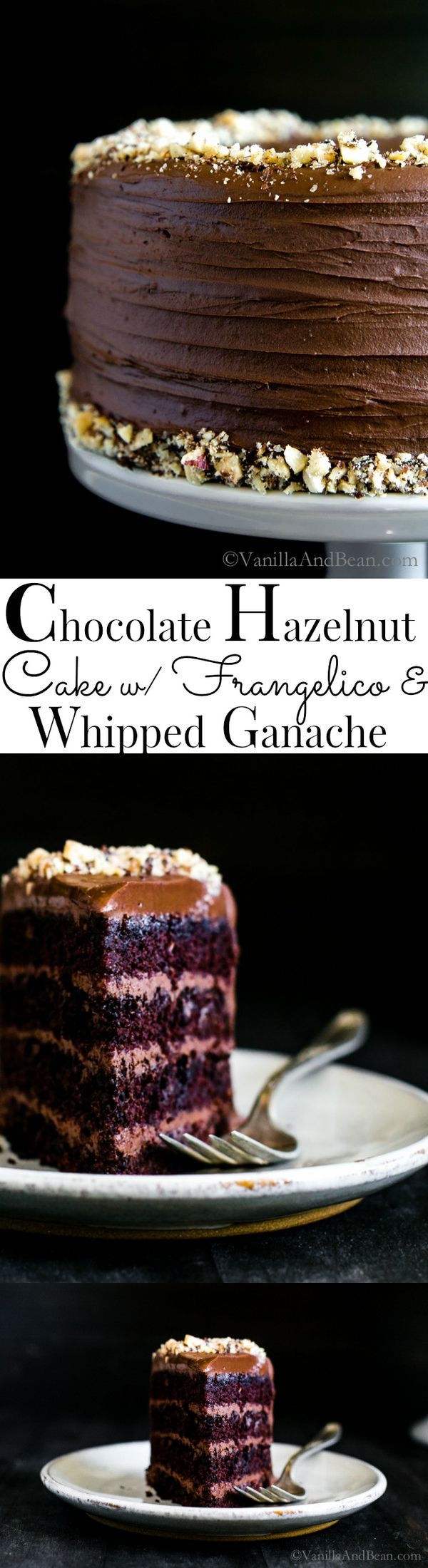 Vegan Chocolate Hazelnut Cake with Whipped Ganache