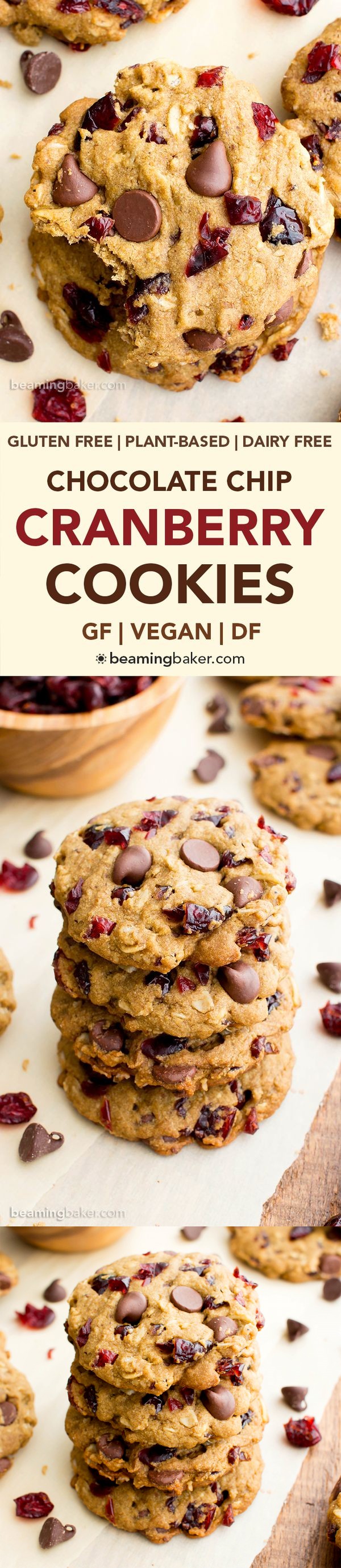 Vegan Cranberry Chocolate Chip Cookies (V, Gluten Free, Oat Flour