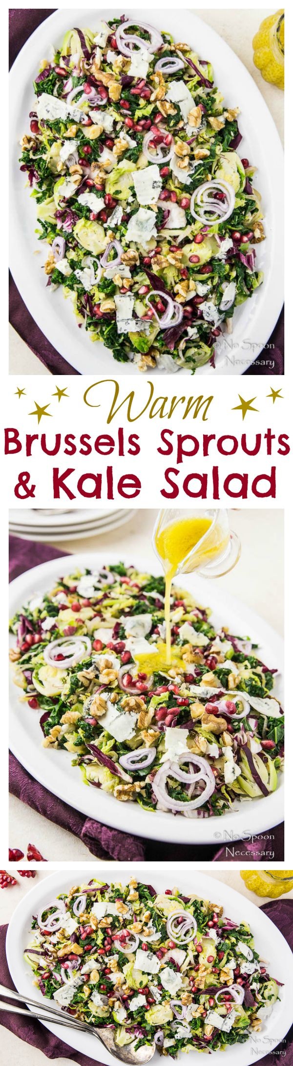 Warm Brussels Sprouts & Kale Salad