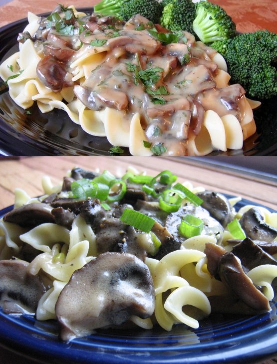 Wild Mushroom Stroganoff