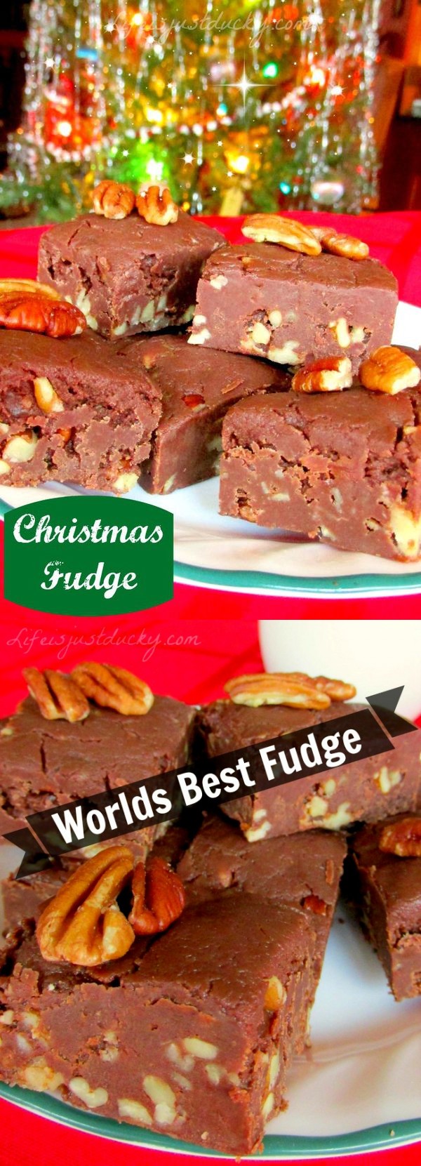 Worlds best fudge