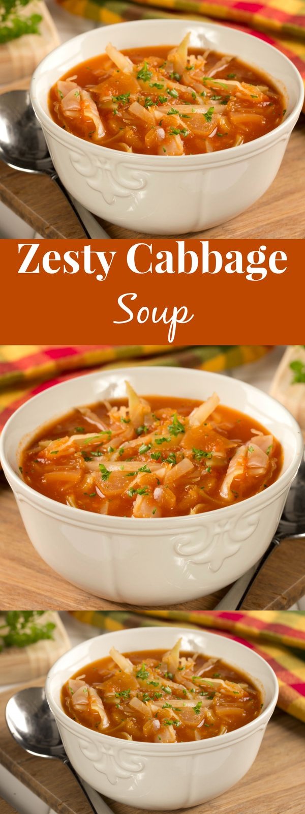 Zesty Cabbage Soup