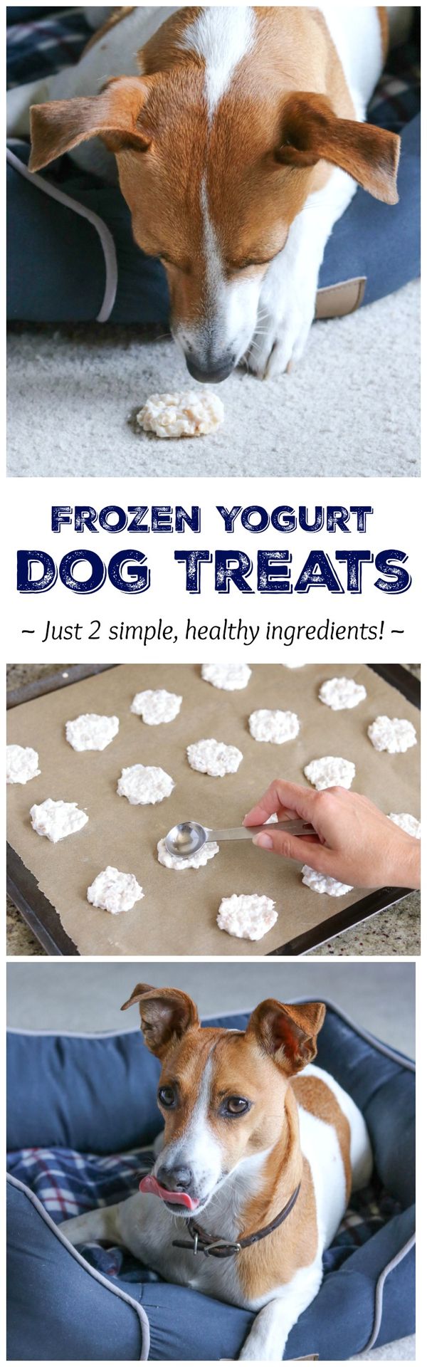 2-Ingredient Frozen Dog Treat Recipe (That Uses Up Leftover Chicken!