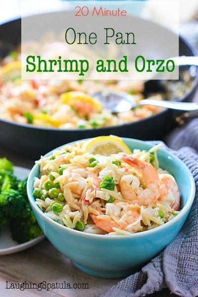 20 Minute One Pan Shrimp and Orzo Dinner