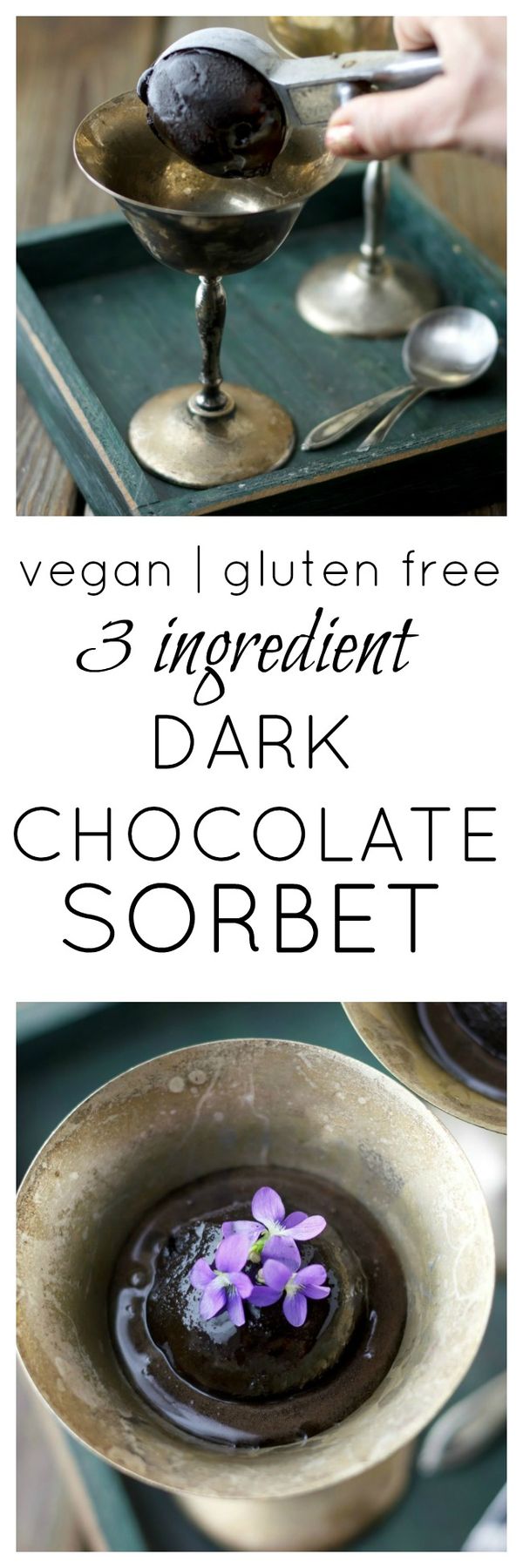 3-Ingredient Dark Chocolate Sorbet