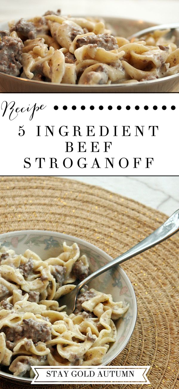 5 Ingredient Beef Stroganoff