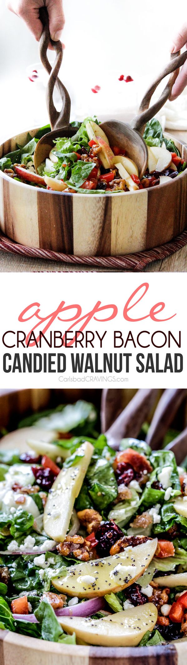 Apple Cranberry Bacon Candied Walnut Salad with Apple Poppy Seed Vinaigrette