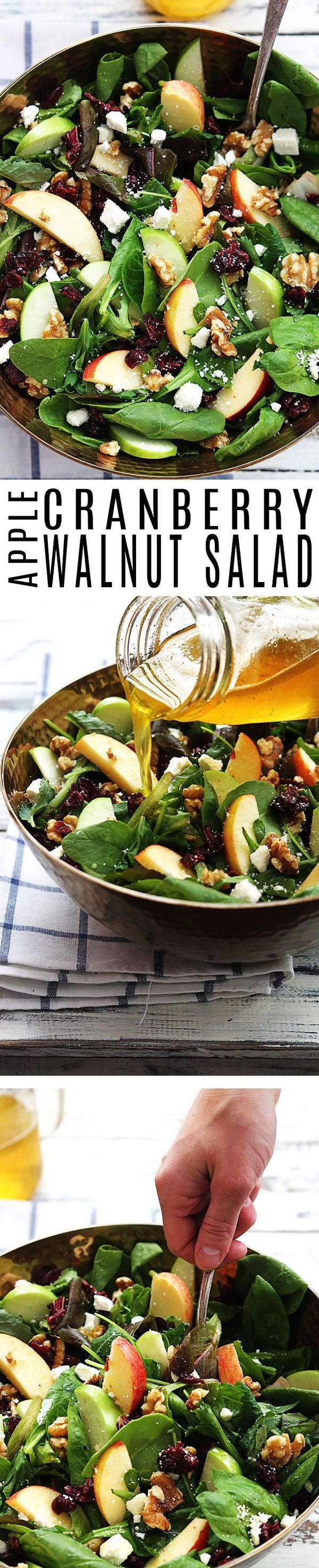 Apple Cranberry Walnut Salad