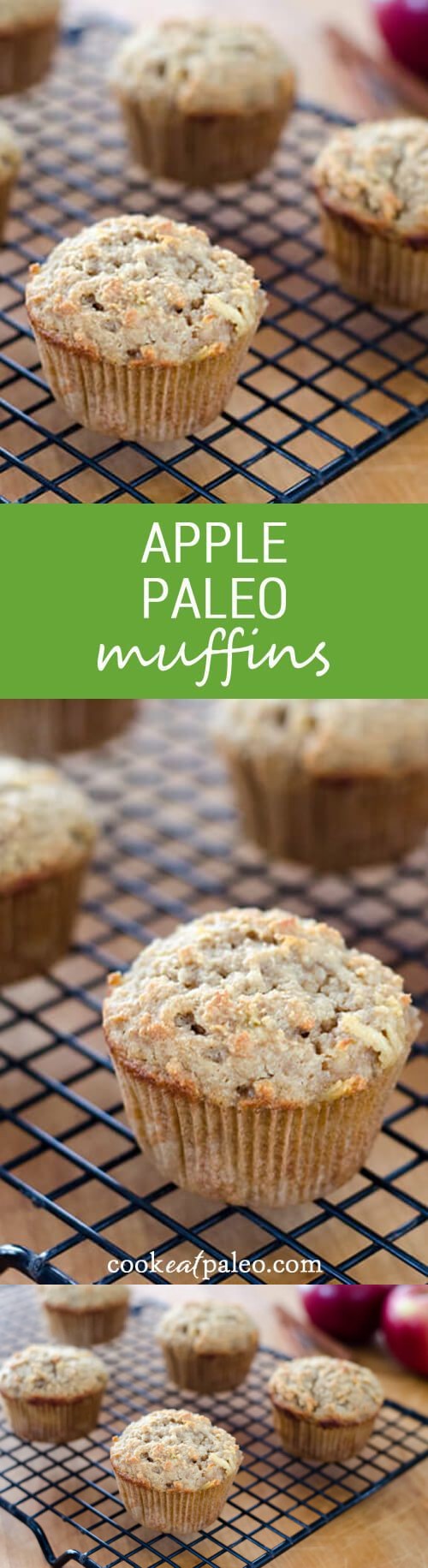 Apple Paleo Muffins