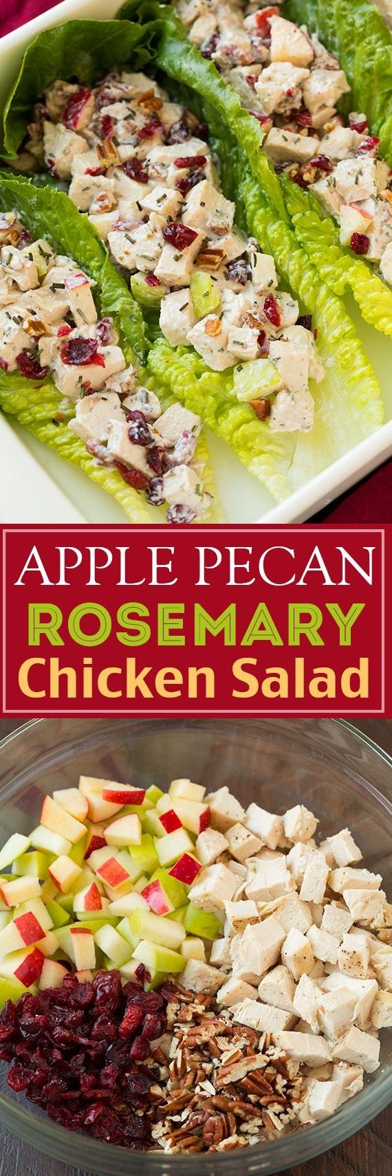 Apple Pecan Rosemary Greek Yogurt Chicken Salad