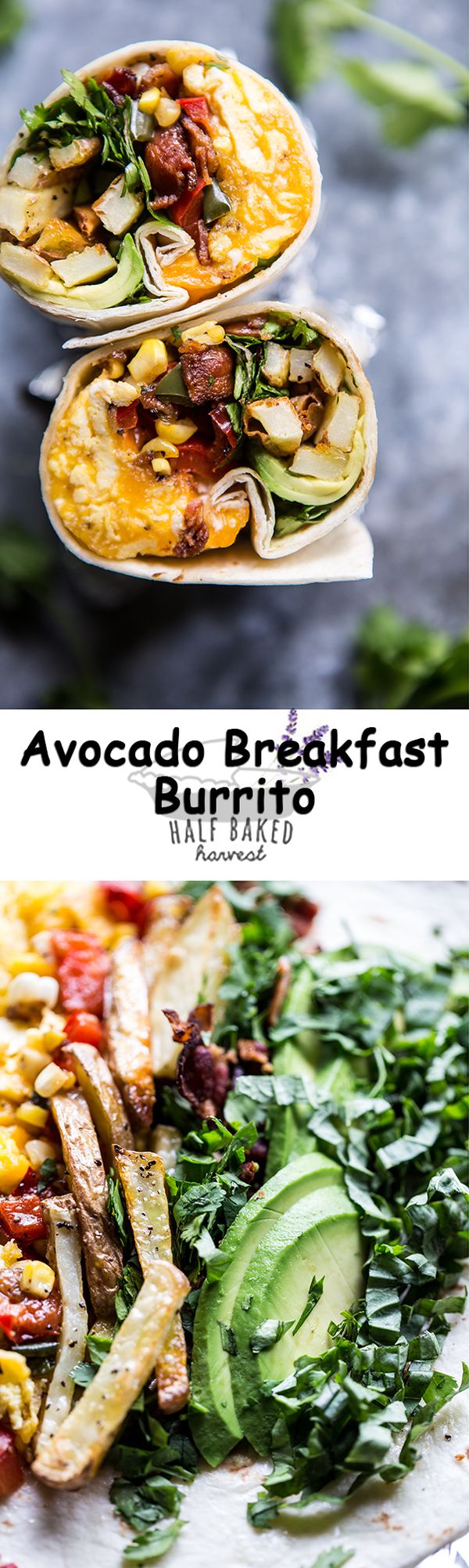 Avocado Breakfast Burrito