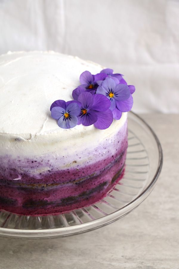 Blueberry Cake with Coconut Frosting (gluten-free & vegan