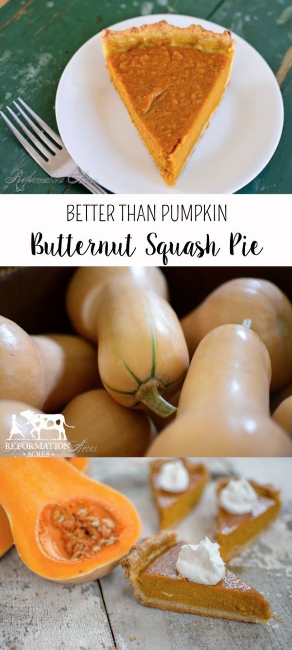 ~Butternut Squash Pie~