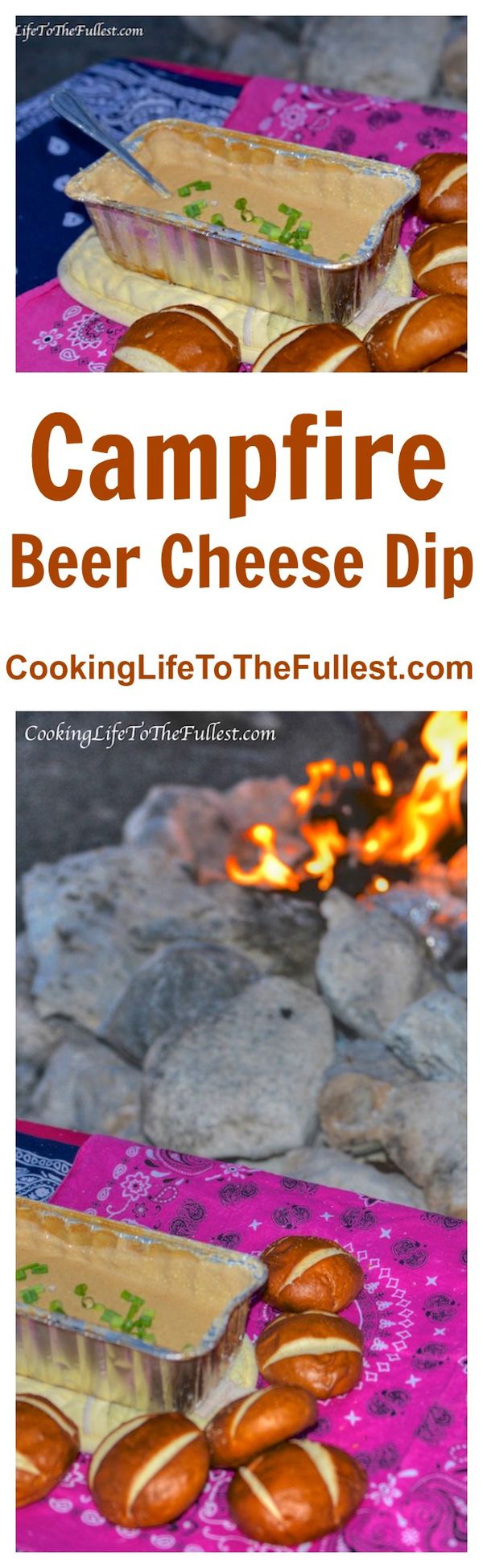 Campfire Beer Cheese Dip