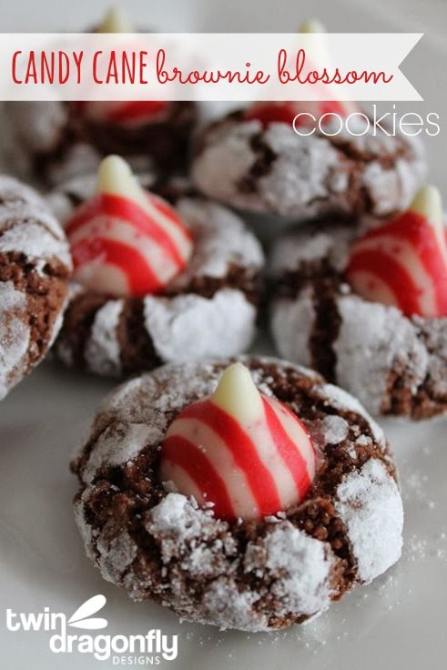 Candy Cane Brownie Blossom