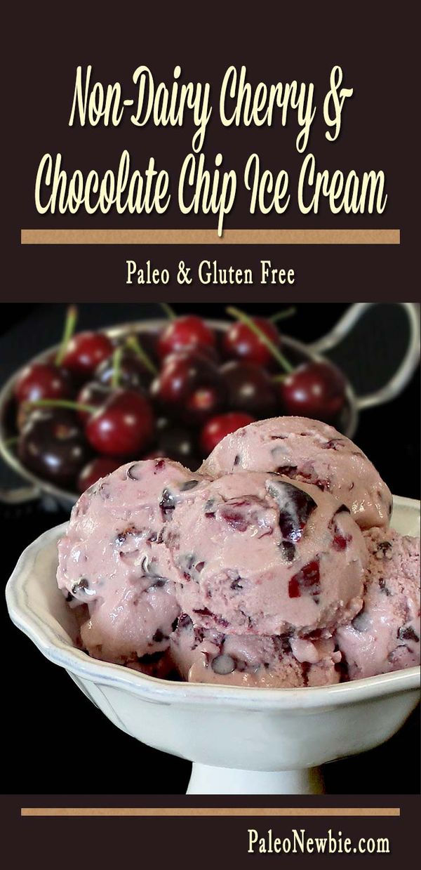 Cherry Chocolate Chip Paleo Ice Cream