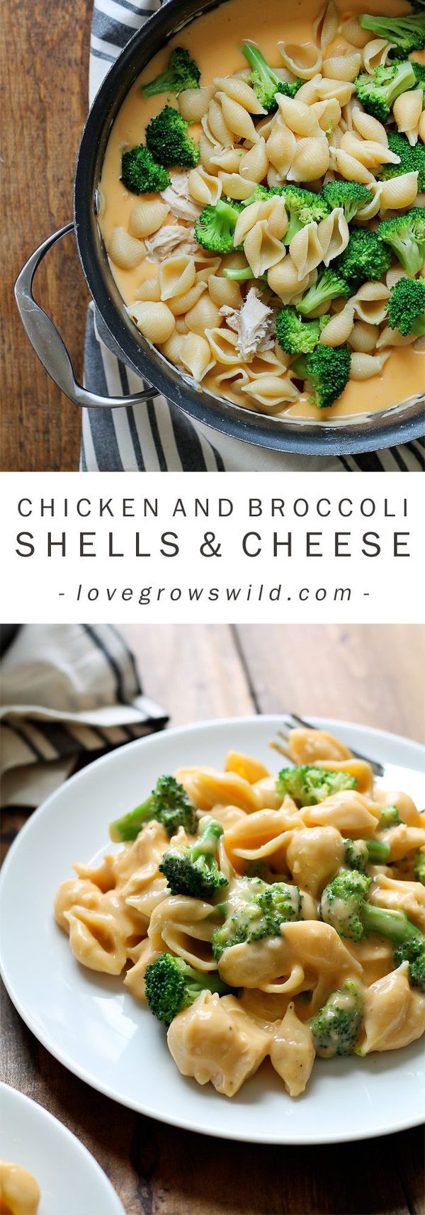 Chicken and Broccoli Shells and Cheese