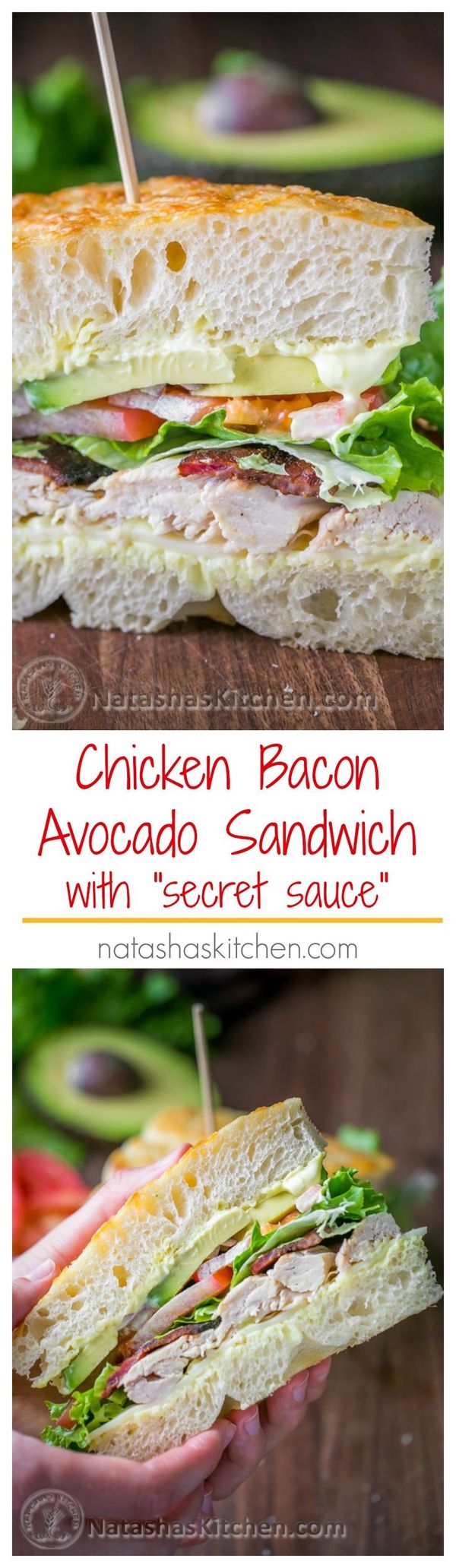 Chicken Bacon Avocado Sandwich