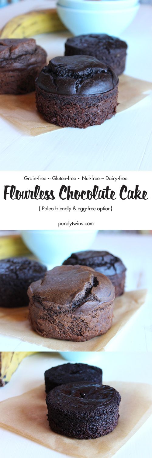 Chocolate cake made with 5 ingredients (gluten and grain free with egg-free options