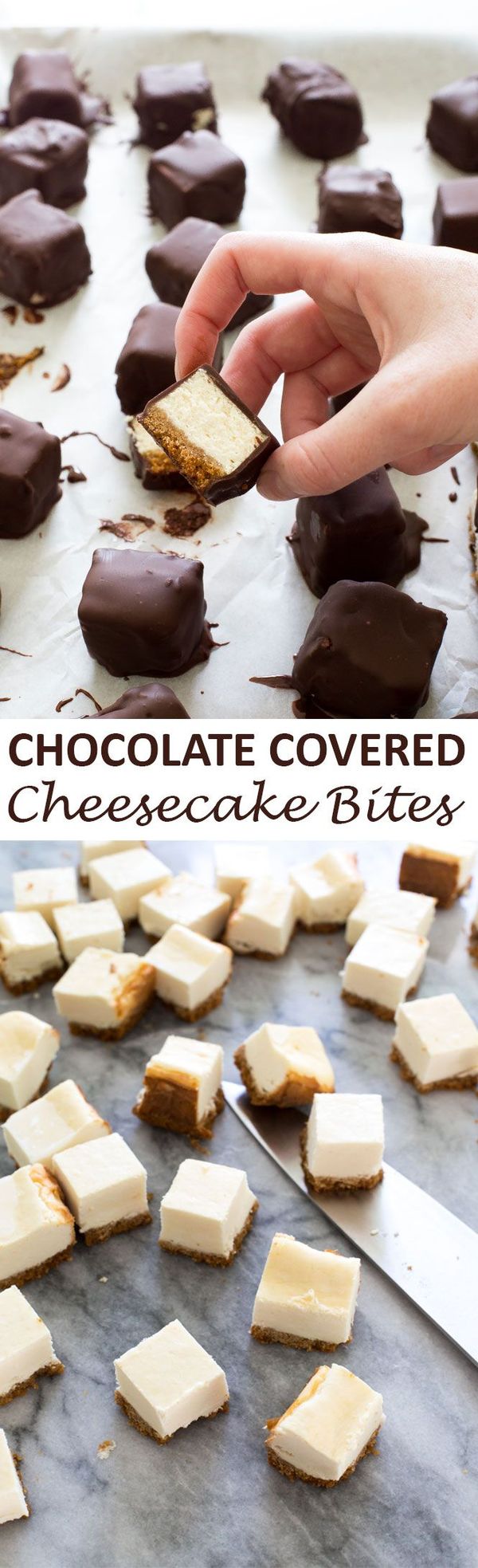 Chocolate Covered Cheesecake Bites