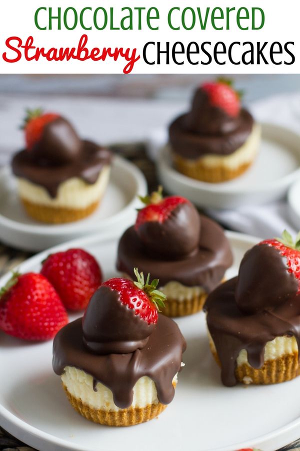 Chocolate Covered Strawberry Mini Cheesecakes