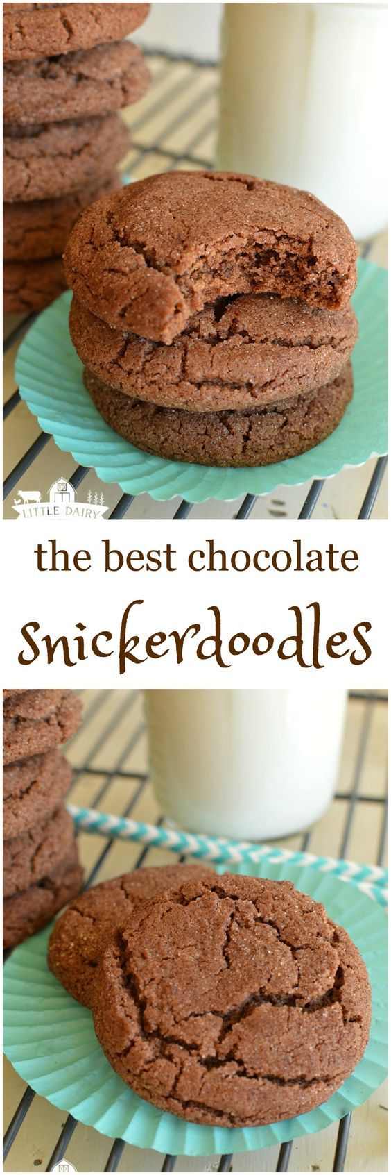 Chocolate Snickerdoodles